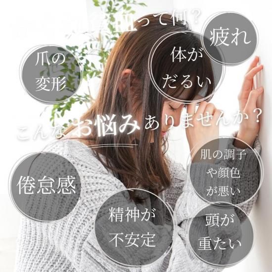 鉄分 VOR 120粒 ナチュ