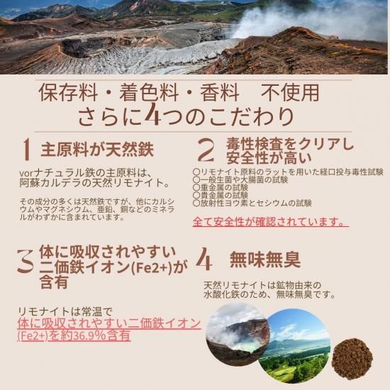 鉄分 VOR 120粒 ナチュ