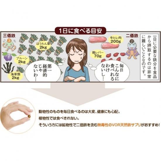 鉄分 VOR 120粒 ナチュ