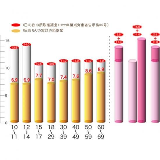 鉄分 VOR 120粒 ナチュ