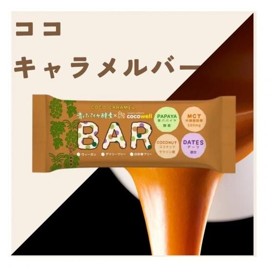 バイオノーマライザー 青パパイ