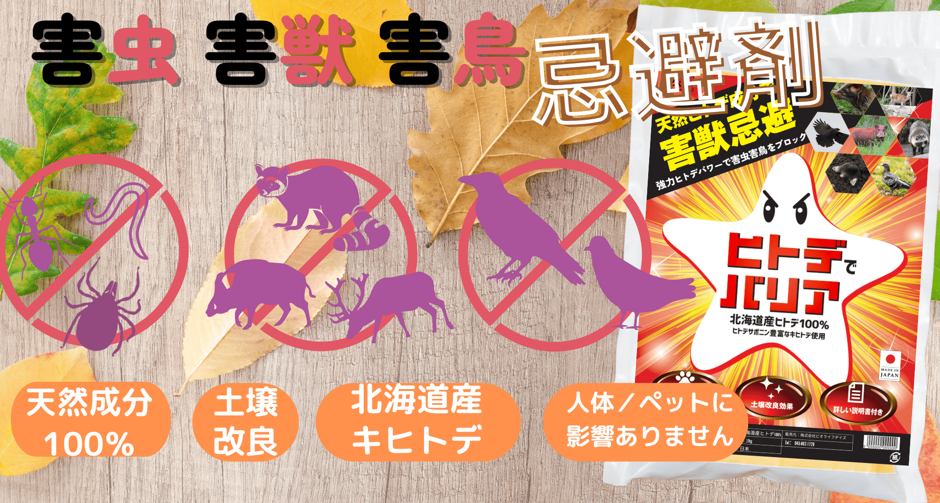 ¥Ò¥È¥Ç¤Ç¥Ð¥ê¥¢