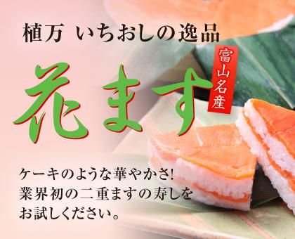 かまぼこ型 押寿し 1箱（3ヶ入り） - ます寿しの植万