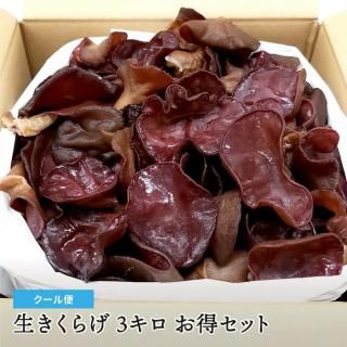 �������̡���̳�ѡ��������餲 3���� ���äפꤪ�����å�