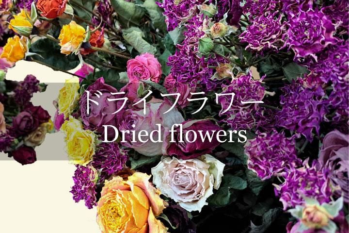 赤本 バラ売り⭕️ 生花】バラ(赤) 品種おまかせ【60cm/愛知県】｜Flower Smith Market
