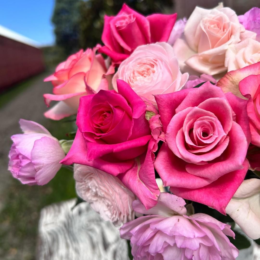 M۲İ餷ԥ󥯷ϥХβ«