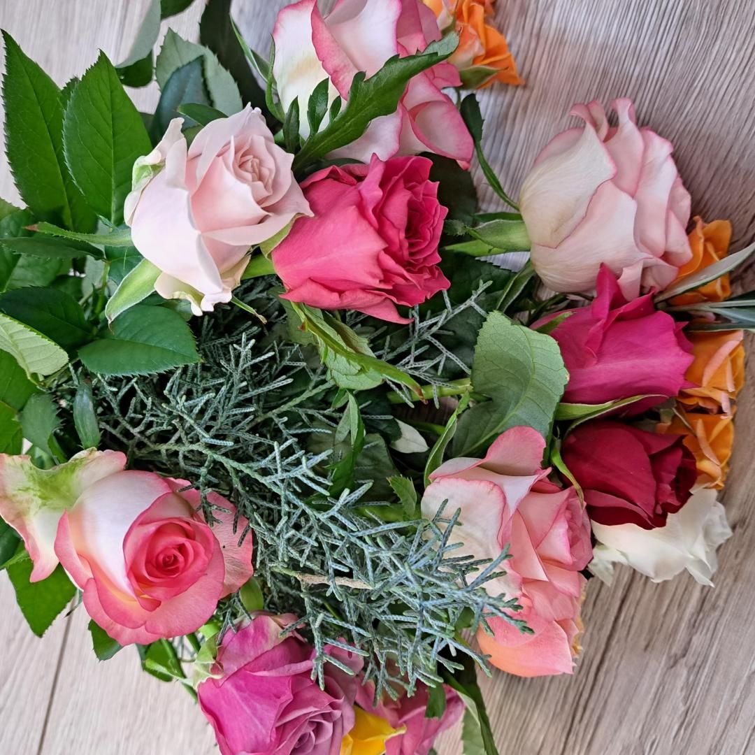 ڲѥåԥ̵ۤä㤪㤤ߥåΥХ飱ꡪᤤԾ