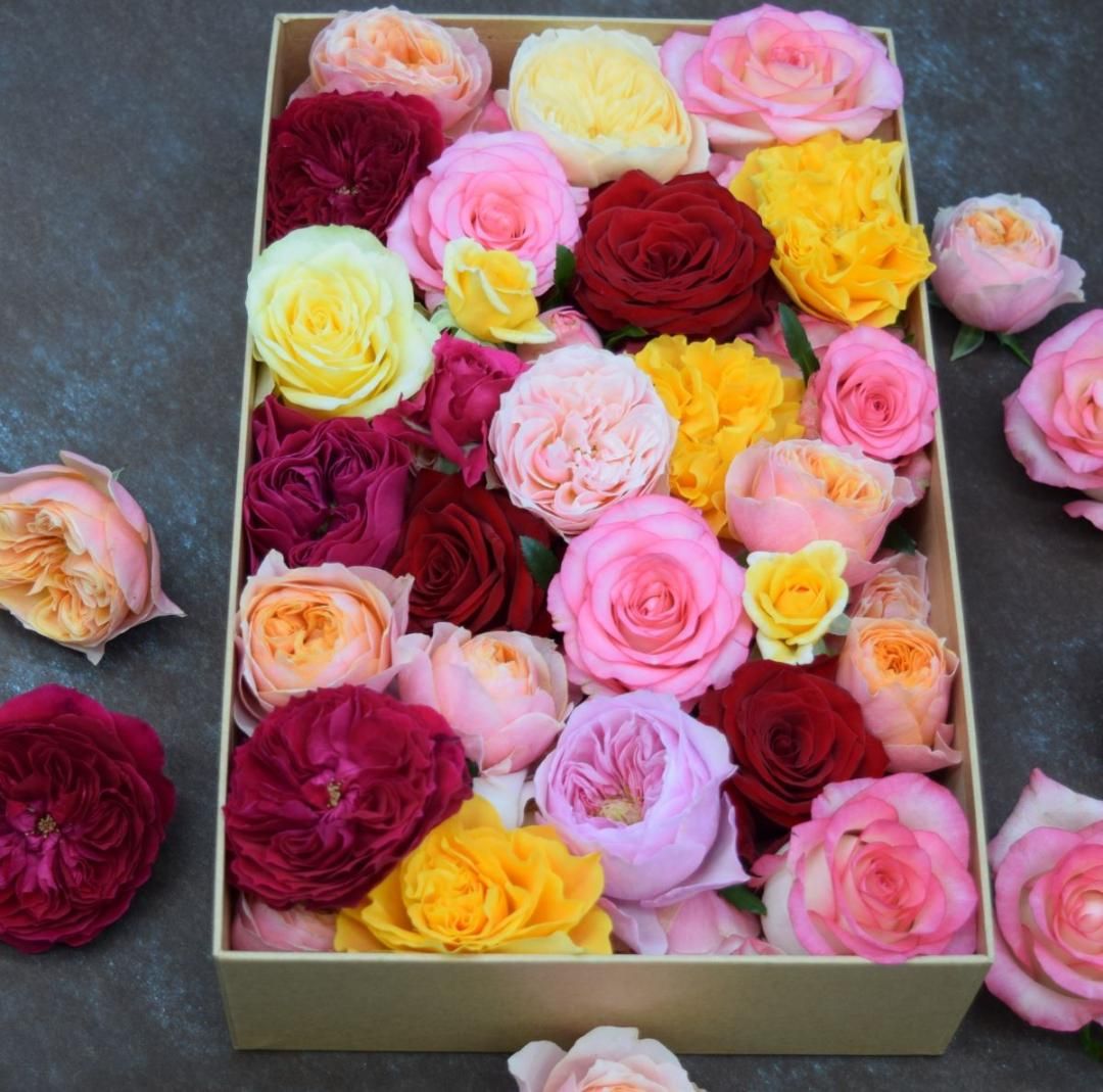 ڥءۥեȤˤŬߥåХϤʣء