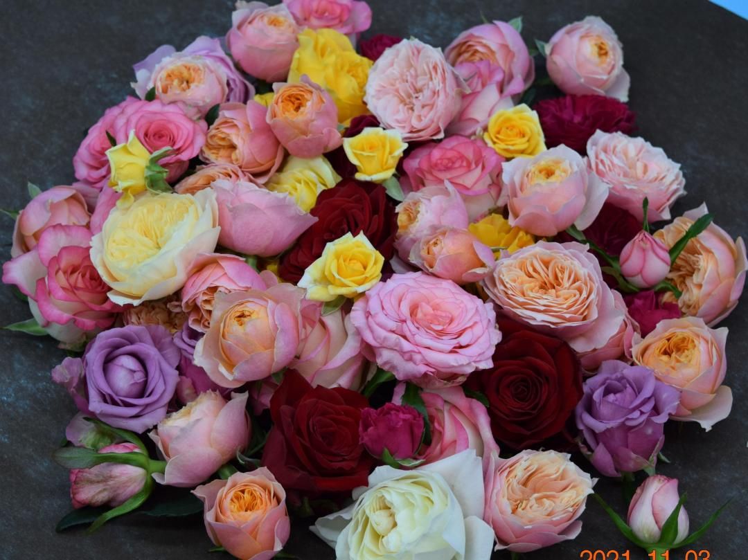 ڥءۥեȤˤŬߥåХϤ  (ء