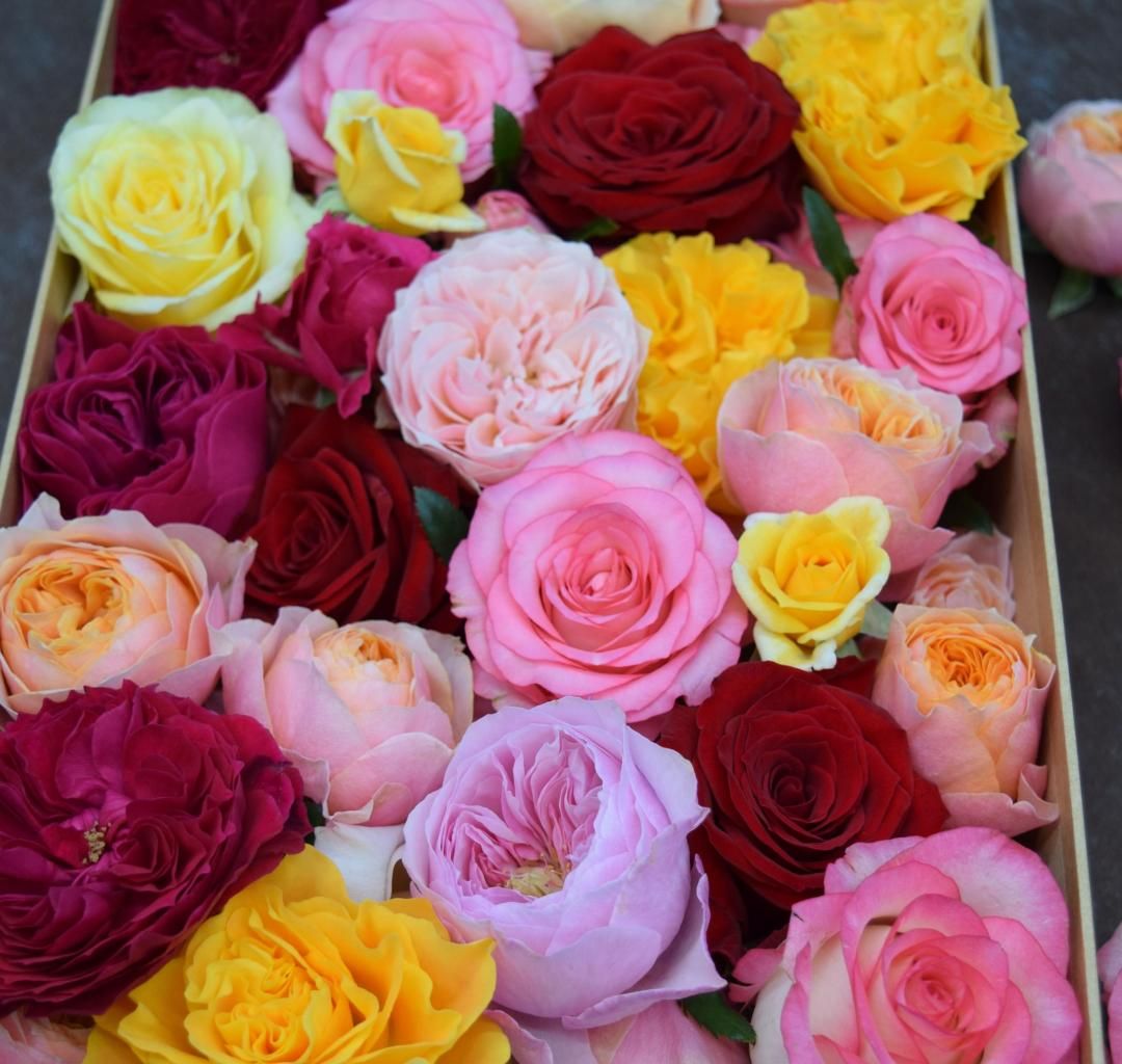 ڥءʰۤѤ˺ŬߥåХϤʣء