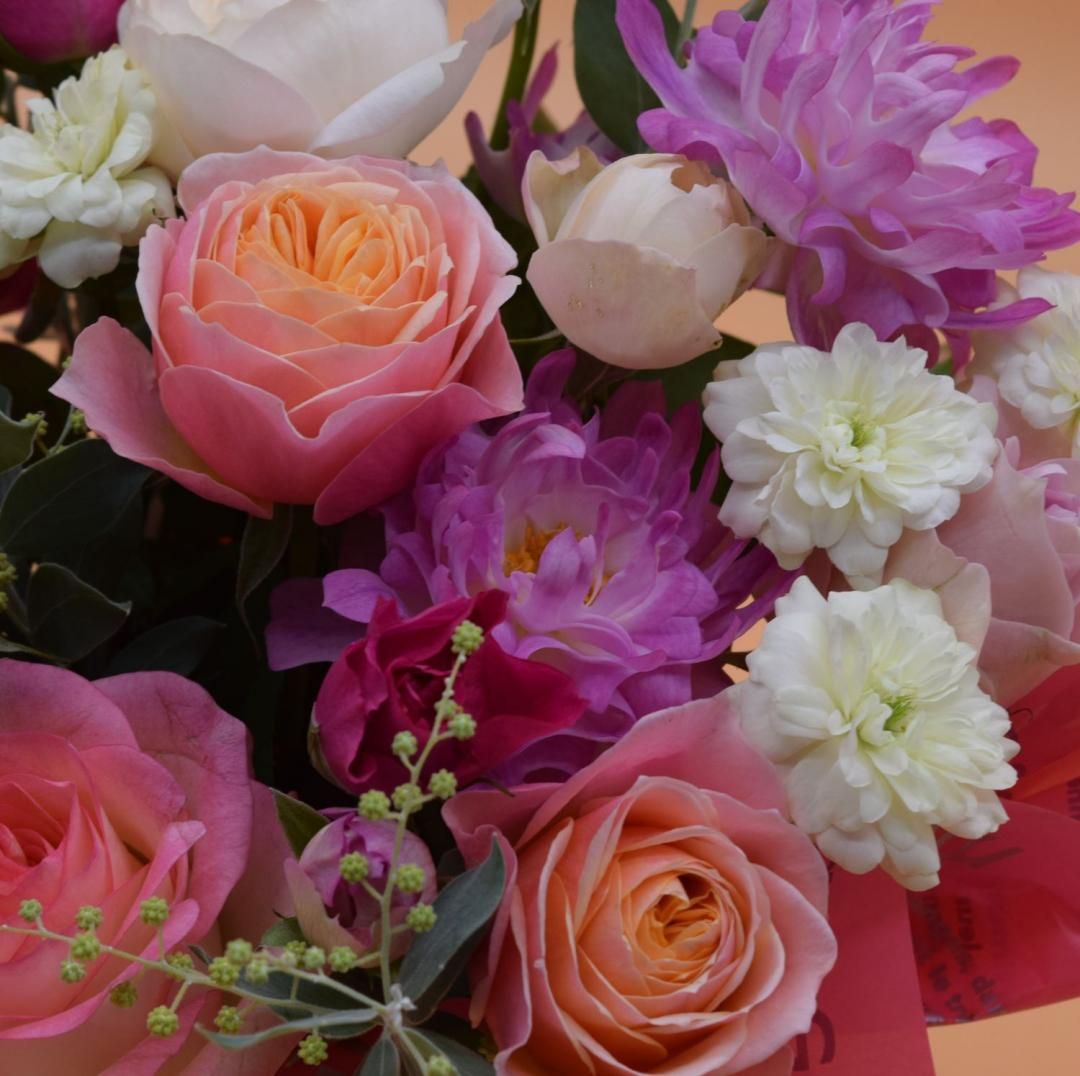 S۲ʥԥ󥯷ϥХΥ󥸥ȡߣߣ