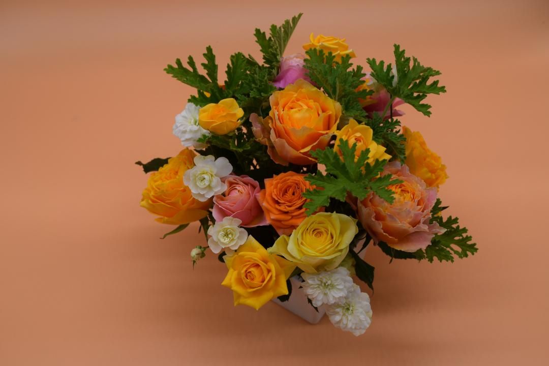 Sۤޤꥫ顼ϥХΥ󥸥ȡߣߣ