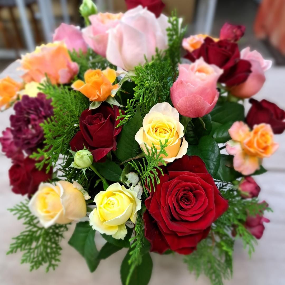 Mۤޤꥫ顼ϥХΥ󥸥ȡߣߣ