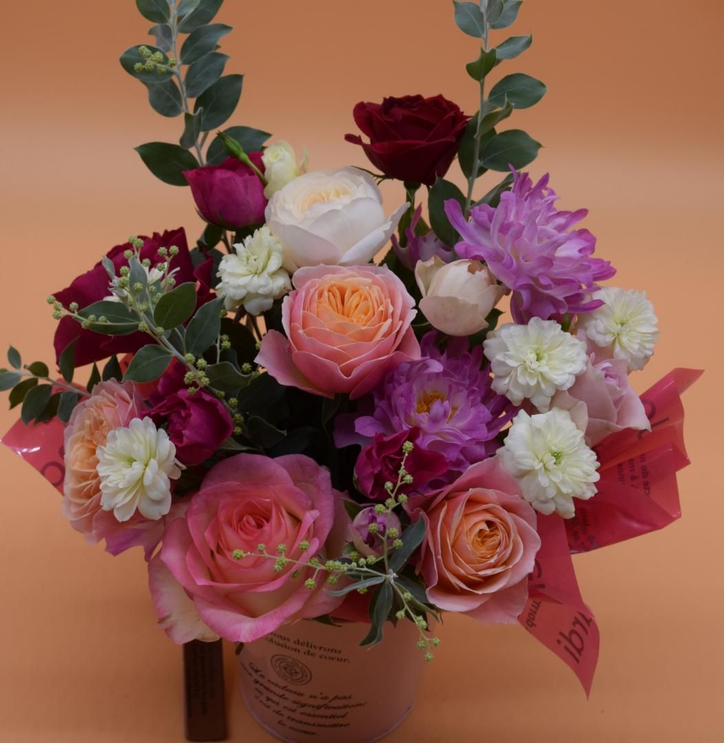 S̤ͥꡢѥƥϥХΥ󥸥ȡߣߣ