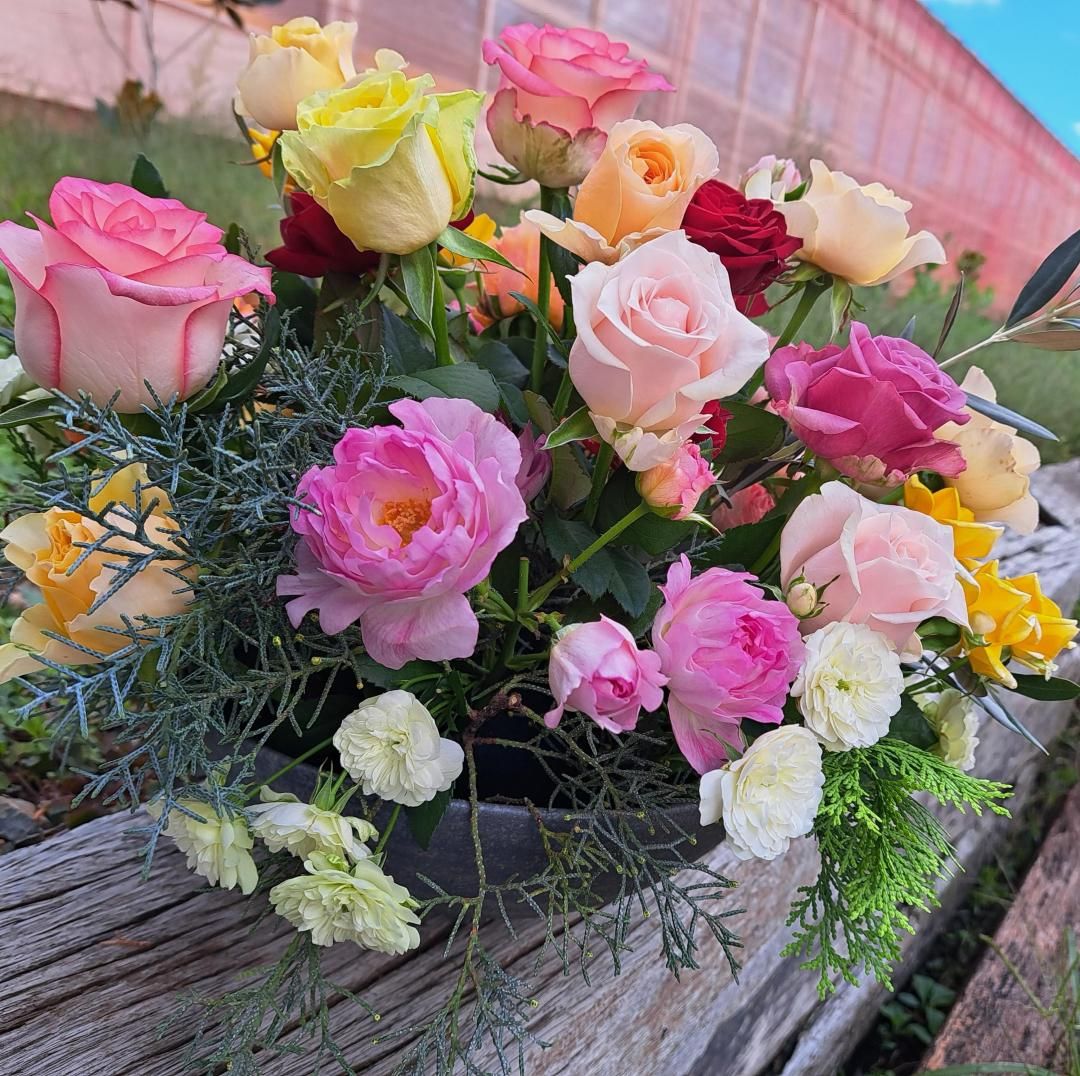 M̤ͥꡢѥƥϥХΥ󥸥ȡߣߣ