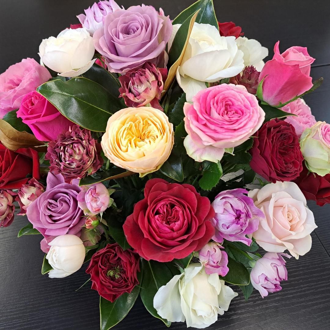 赤本 バラ売り⭕️ 杉本さんが今回のキッカケを作ってくださったということで購入させて