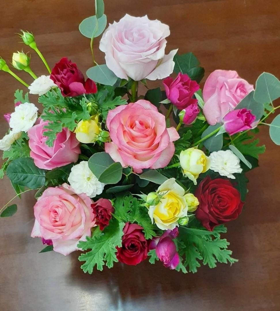 SߡۿߥåޤΥХΥ󥸥ȡڥ