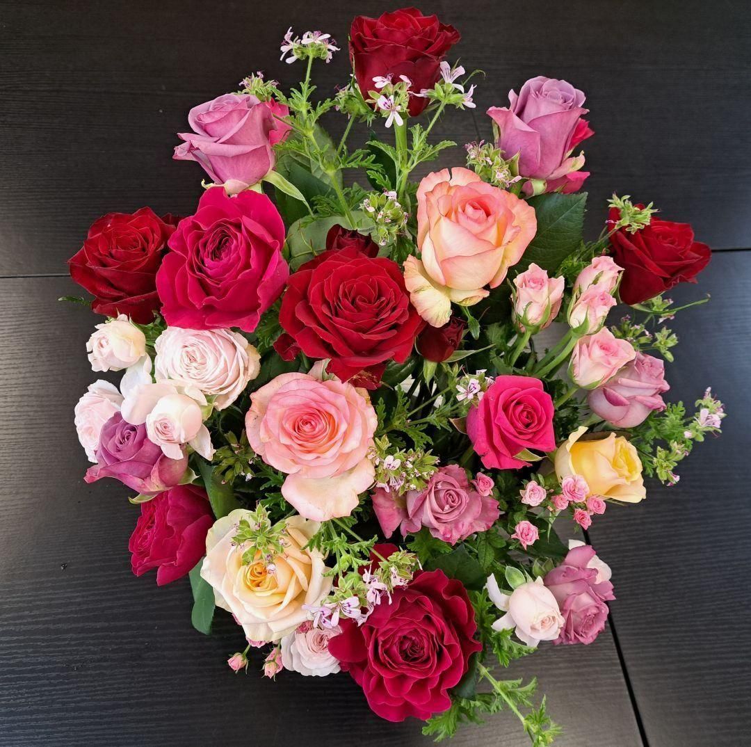 LߡۿߥåޤΥХΥ󥸥ȡ