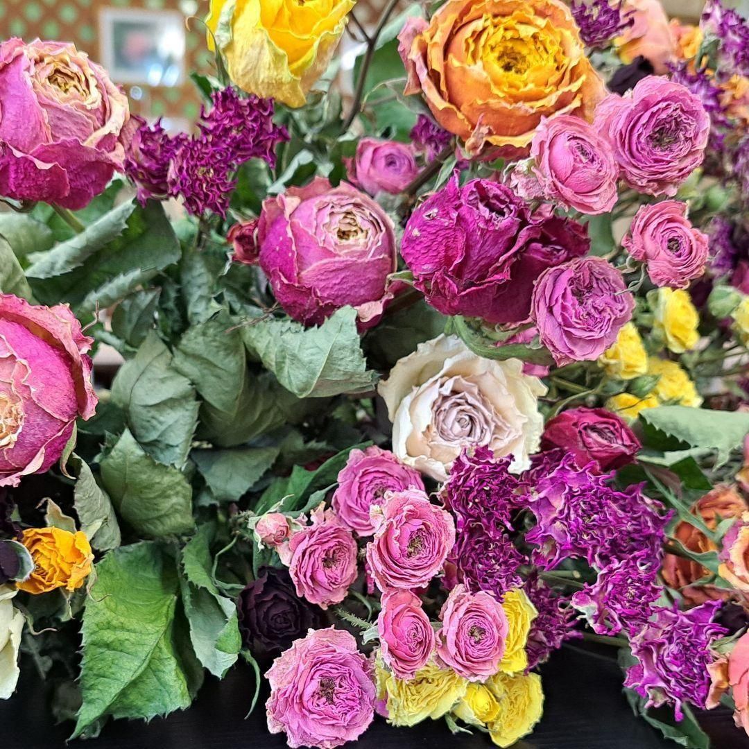 ڴʰ20ۿߥå䤫ɥ饤եΥƥꥢˡ