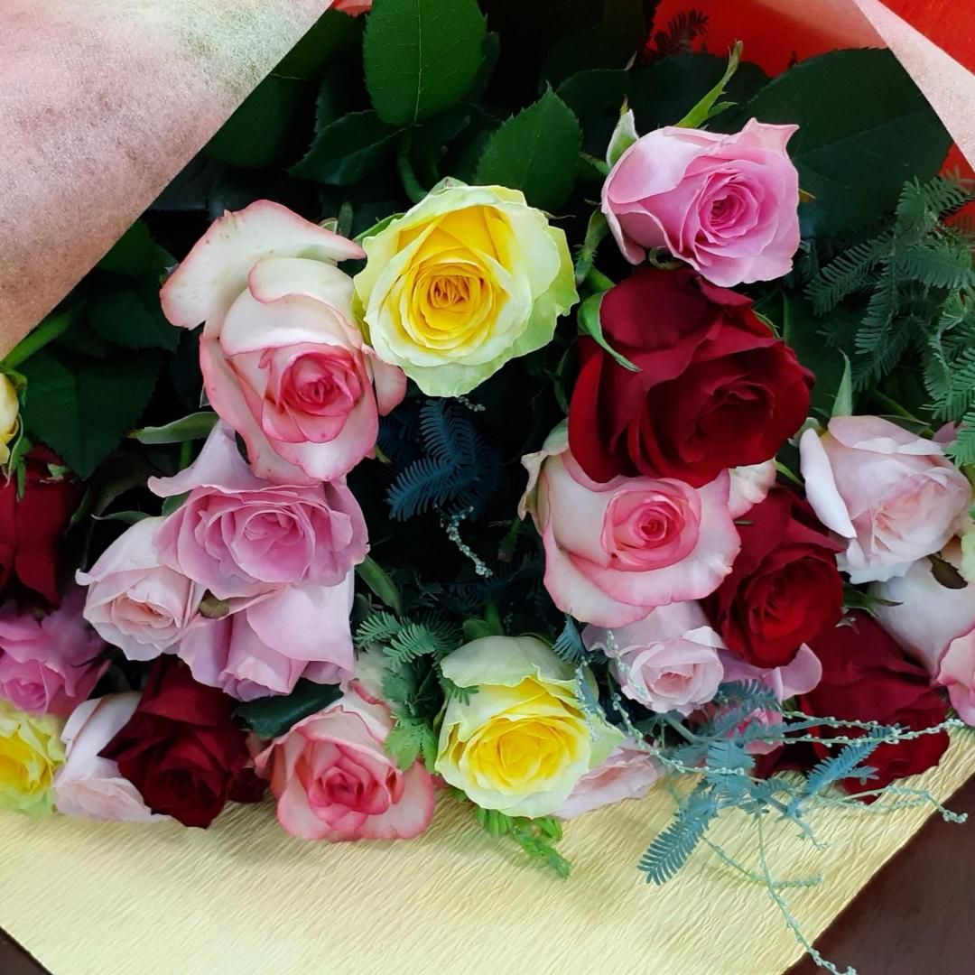 ءǯ4۵ᤴȤΤڤߡǤХβ«