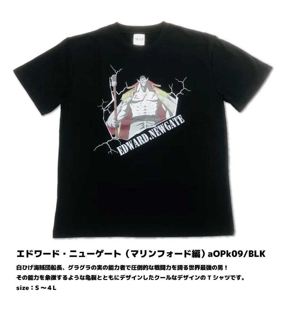 ���ɥ�ɡ��˥塼�����ȡʥޥ��ե������ԡ�T�����