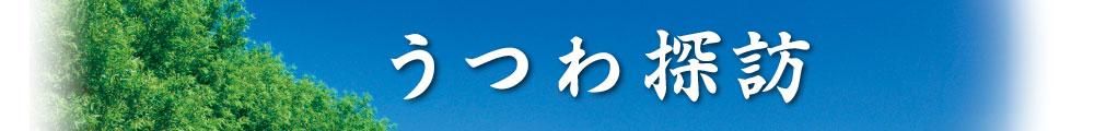 どんぶりセレクトショップ  うつわ探訪