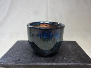 ͧȭ (12)