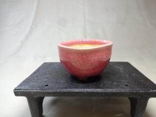 ͧȭ (20)