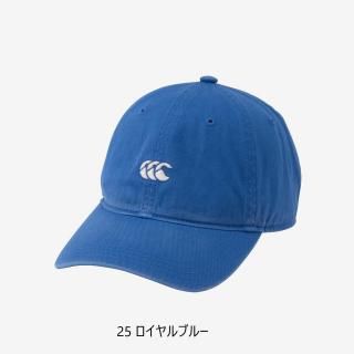STANDARD WASHED CAP
