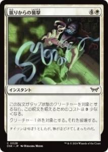 <img class='new_mark_img1' src='https://img.shop-pro.jp/img/new/icons1.gif' style='border:none;display:inline;margin:0px;padding:0px;width:auto;' />̲꤫ν/Seized from Slumber(DSK)(JPN)C