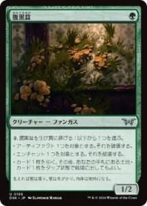 <img class='new_mark_img1' src='https://img.shop-pro.jp/img/new/icons1.gif' style='border:none;display:inline;margin:0px;padding:0px;width:auto;' />ʢ/Insidious Fungus(DSK)(JPN)U