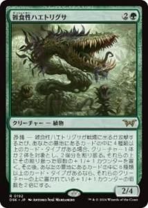 <img class='new_mark_img1' src='https://img.shop-pro.jp/img/new/icons1.gif' style='border:none;display:inline;margin:0px;padding:0px;width:auto;' />ϥȥꥰ/Omnivorous Flytrap(DSK)(JPN)R