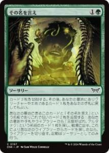 <img class='new_mark_img1' src='https://img.shop-pro.jp/img/new/icons1.gif' style='border:none;display:inline;margin:0px;padding:0px;width:auto;' />̾/Say Its Name(DSK)(JPN)C