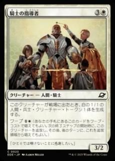 <img class='new_mark_img1' src='https://img.shop-pro.jp/img/new/icons1.gif' style='border:none;display:inline;margin:0px;padding:0px;width:auto;' />ΤλƳ/Knight Luminary(EOE)(JP)C