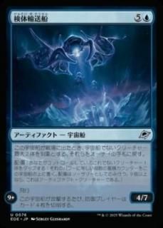 <img class='new_mark_img1' src='https://img.shop-pro.jp/img/new/icons1.gif' style='border:none;display:inline;margin:0px;padding:0px;width:auto;' />͢/Specimen Freighter(EOE)(JP)U