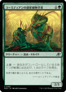 <img class='new_mark_img1' src='https://img.shop-pro.jp/img/new/icons1.gif' style='border:none;display:inline;margin:0px;padding:0px;width:auto;' />桼ߥǥʪؼ/Eumidian Terrabotanist(EOE)(JP)U