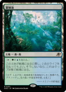 <img class='new_mark_img1' src='https://img.shop-pro.jp/img/new/icons1.gif' style='border:none;display:inline;margin:0px;padding:0px;width:auto;' />˿/Breeding Pool(EOE)(JP)R
