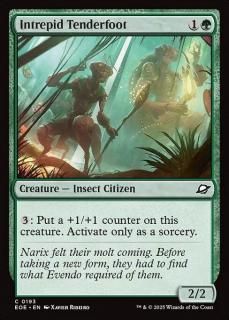 <img class='new_mark_img1' src='https://img.shop-pro.jp/img/new/icons1.gif' style='border:none;display:inline;margin:0px;padding:0px;width:auto;' />Τ餺ο/Intrepid Tenderfoot(EOE)(EN)C
