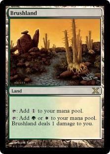 /Brushland(10ED(ENG) R