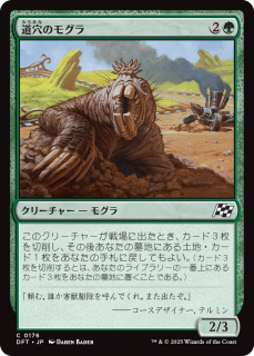 <img class='new_mark_img1' src='https://img.shop-pro.jp/img/new/icons1.gif' style='border:none;display:inline;margin:0px;padding:0px;width:auto;' />ƻΥ⥰/Pothole Mole(DFT)(JPN)C
