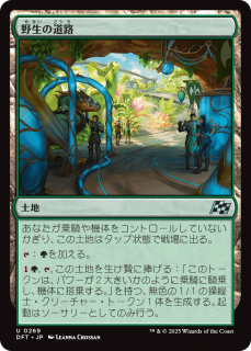 <img class='new_mark_img1' src='https://img.shop-pro.jp/img/new/icons1.gif' style='border:none;display:inline;margin:0px;padding:0px;width:auto;' />ƻϩ/Wild Roads(DFT)(JPN)U