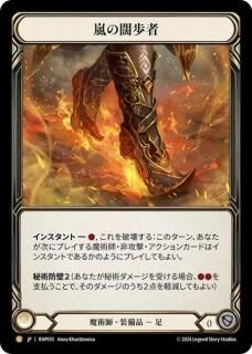 JP[ѻ]  / Storm Striders [L]RAP055