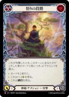 JP[] ʳ / Levels of Enlightenment [M]MST077