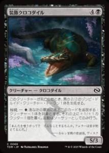 <img class='new_mark_img1' src='https://img.shop-pro.jp/img/new/icons1.gif' style='border:none;display:inline;margin:0px;padding:0px;width:auto;' /> /Adorned Crocodile(TDM)(JPN)C