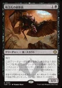 <img class='new_mark_img1' src='https://img.shop-pro.jp/img/new/icons1.gif' style='border:none;display:inline;margin:0px;padding:0px;width:auto;' /> ׹廡/Sinkhole Surveyor(TDM)(JPN)R