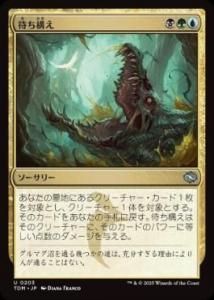<img class='new_mark_img1' src='https://img.shop-pro.jp/img/new/icons1.gif' style='border:none;display:inline;margin:0px;padding:0px;width:auto;' /> Ԥ/Lie in Wait(TDM)(JPN)U