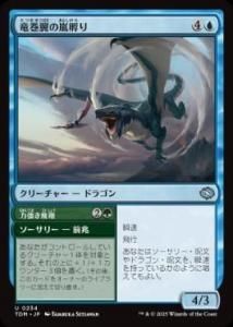 <img class='new_mark_img1' src='https://img.shop-pro.jp/img/new/icons1.gif' style='border:none;display:inline;margin:0px;padding:0px;width:auto;' />εۤ//϶/Whirlwing Stormbrood // Dynamic Soar(TDM)(JPN)U