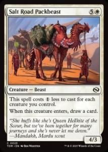 <img class='new_mark_img1' src='https://img.shop-pro.jp/img/new/icons1.gif' style='border:none;display:inline;margin:0px;padding:0px;width:auto;' /> ϩβ/Salt Road Packbeast(TDM)(EN)C