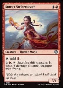 <img class='new_mark_img1' src='https://img.shop-pro.jp/img/new/icons1.gif' style='border:none;display:inline;margin:0px;padding:0px;width:auto;' /> ͼη/Sunset Strikemaster(TDM)(EN)U