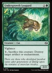 <img class='new_mark_img1' src='https://img.shop-pro.jp/img/new/icons1.gif' style='border:none;display:inline;margin:0px;padding:0px;width:auto;' /> ɿ/Undergrowth Leopard(TDM)(EN)C